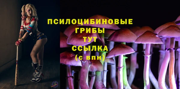 амфетамин Приозерск