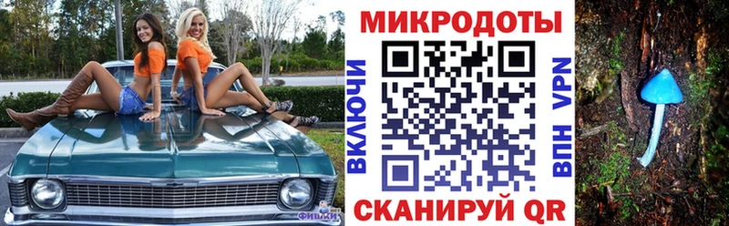 Галлюциногенные грибы ЛСД  Купить  Курильск 