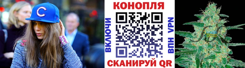 Купить  Курильск  Бошки Шишки MAZAR 